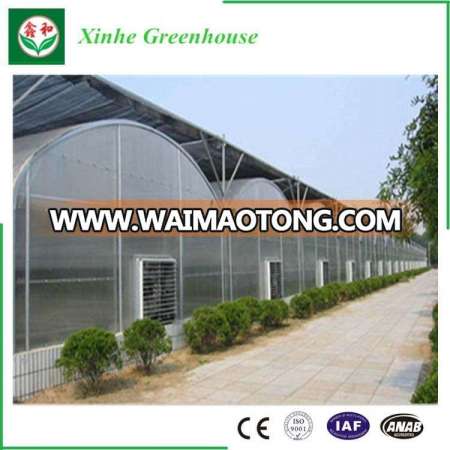 Insulating/Single/Double PE/Po/Intelligent/Film Greenhouse for Vegetables/Fruit/Planting/Farm/Aquacultu/Vegetables/Flowers/Farm/Garden /Agriculture